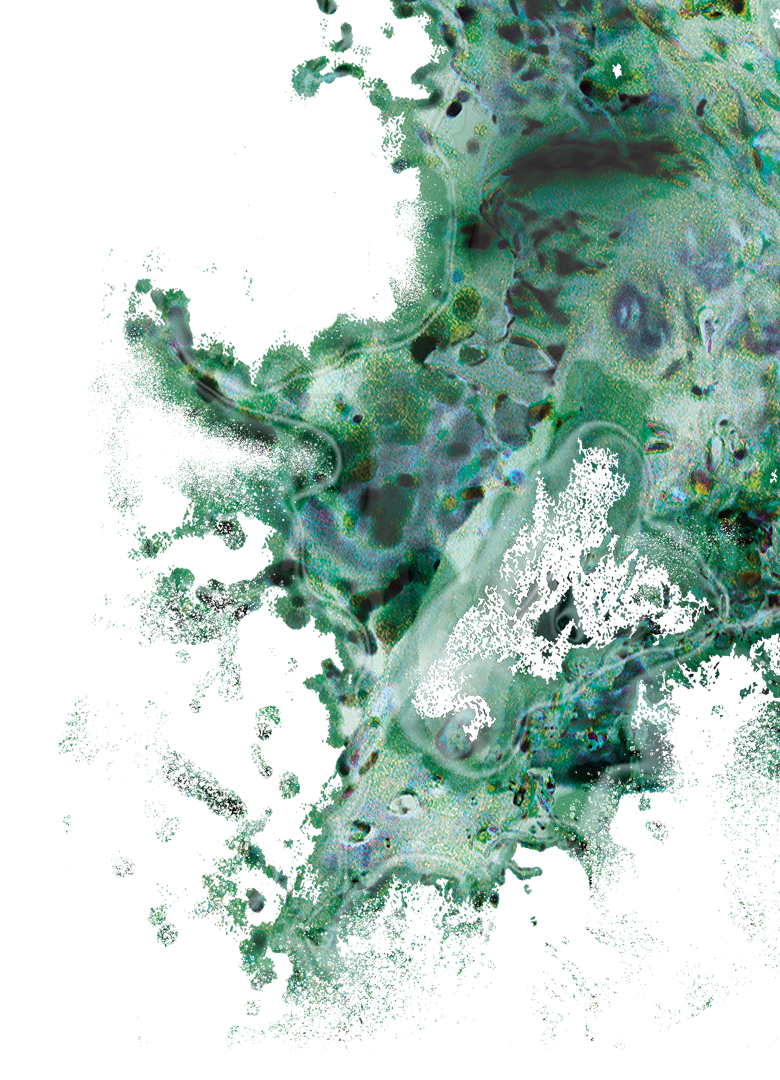 background_2